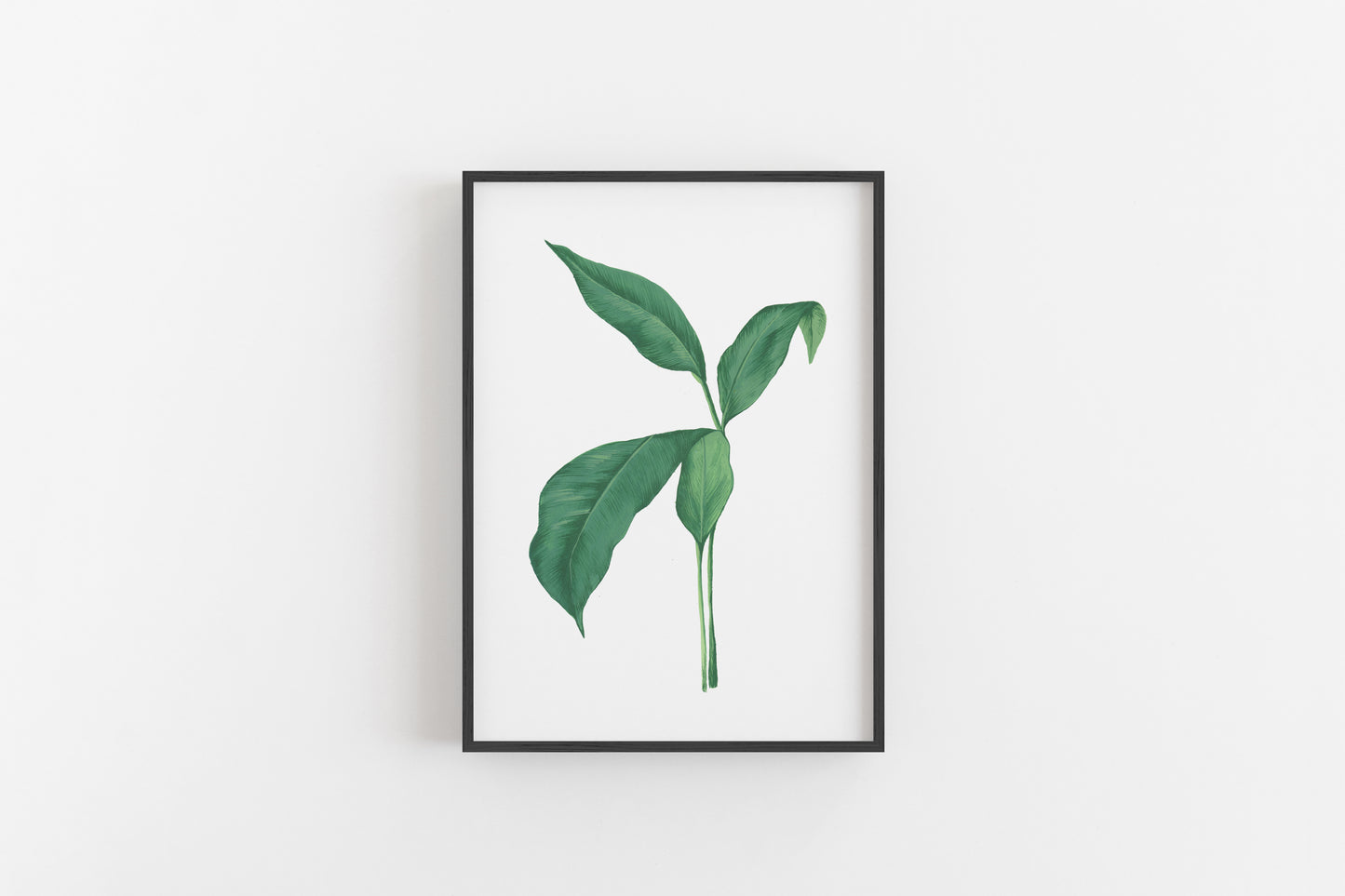 Bali collection Botanical Banana leaf palm giclée print