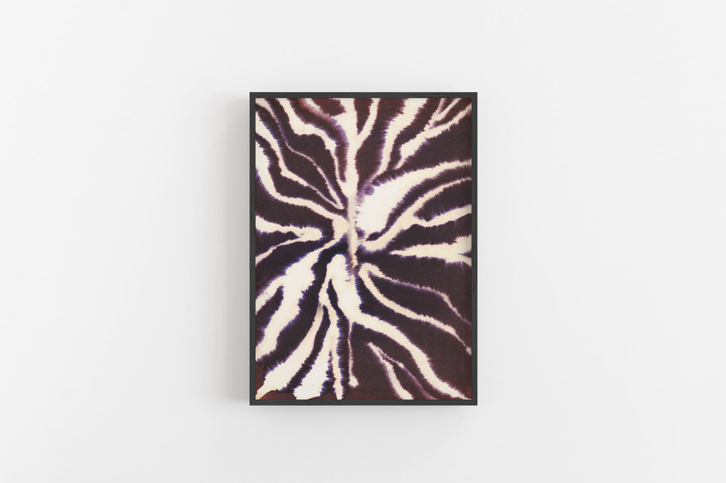 Bali collection sun bleached zebra giclée print